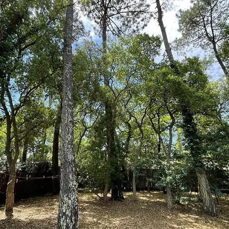 Entre Plage Estagnots Et Lac D'hossegor Villa *